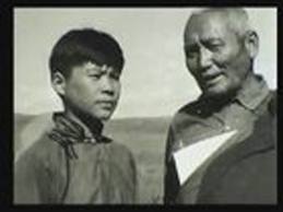 Хөдөөгийн баясгалан киноны дууг хулгайлжээ